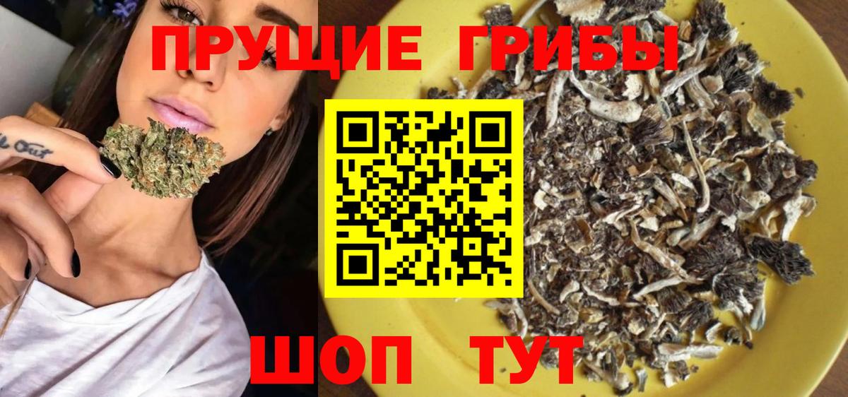 Абакан  Псилоцибиновые грибы GOLDEN TEACHER  Вход с VPN 